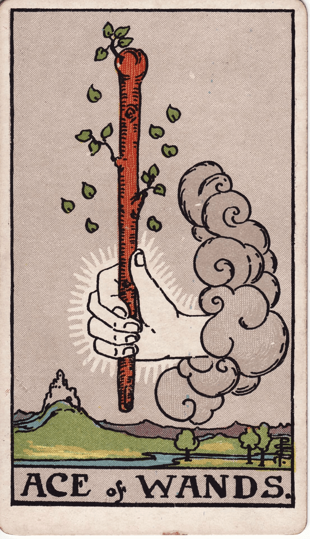Traditional version of Ace of Wands